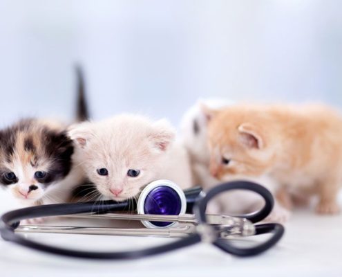 appointments