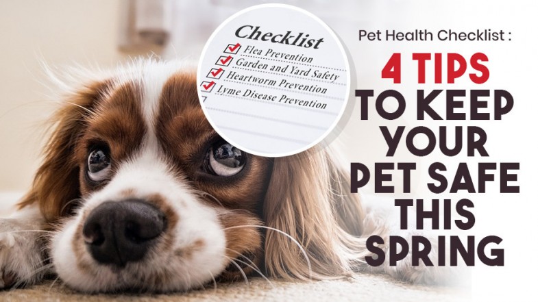 Pet Health Checklist: 4 Tips to Keep Your Pet Safe This Spring