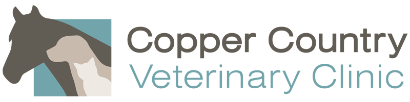 Copper Country Veterinary Clinic